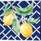 Everyday Chinoiserie Lemons I by Mary Urban - 24x24 Canvas Art Print